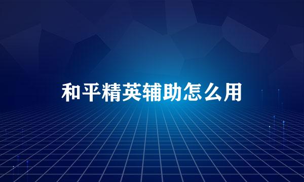 和平精英辅助怎么用