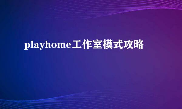 playhome工作室模式攻略