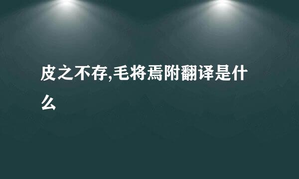 皮之不存,毛将焉附翻译是什么