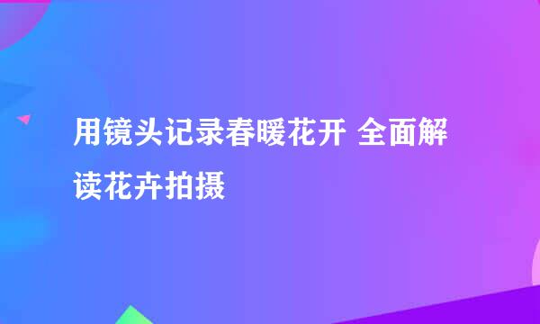 用镜头记录春暖花开 全面解读花卉拍摄