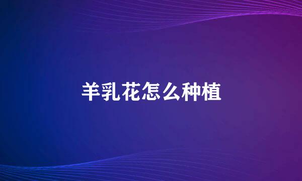 羊乳花怎么种植