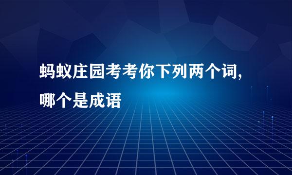 蚂蚁庄园考考你下列两个词,哪个是成语