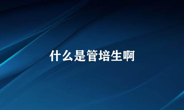 什么是管培生啊