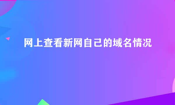 网上查看新网自己的域名情况