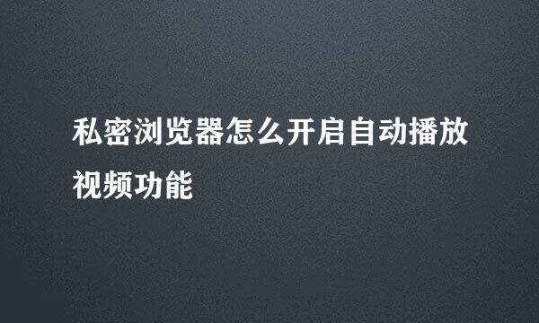 私密浏览器怎么开启自动播放视频功能