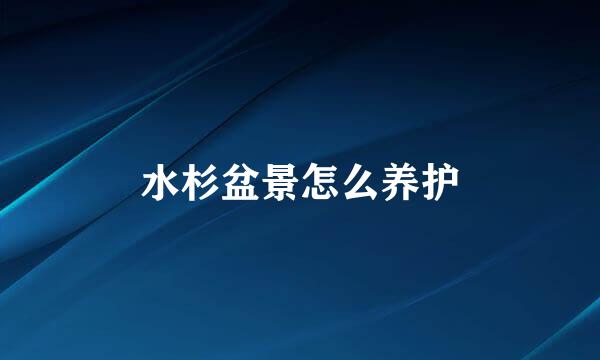 水杉盆景怎么养护