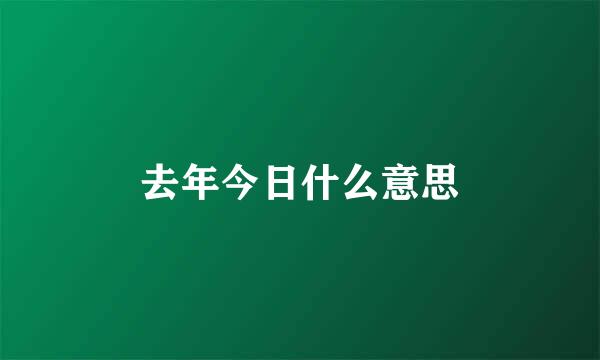 去年今日什么意思