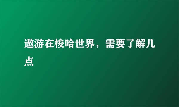 遨游在梭哈世界，需要了解几点