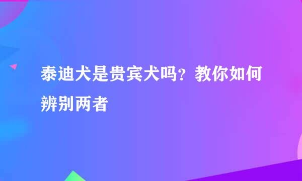 泰迪犬是贵宾犬吗？教你如何辨别两者
