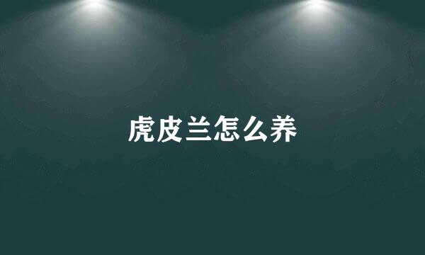 虎皮兰怎么养