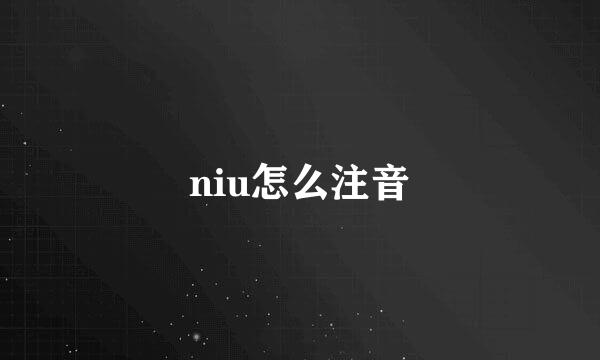 niu怎么注音