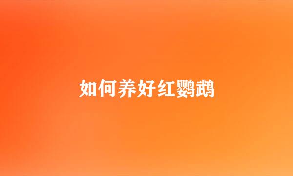 如何养好红鹦鹉