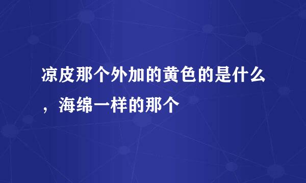 凉皮那个外加的黄色的是什么，海绵一样的那个