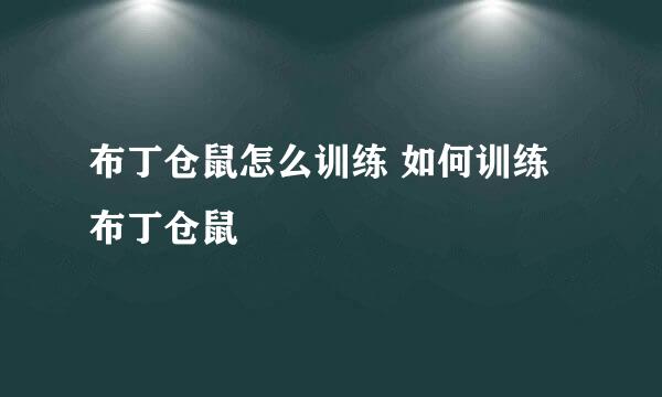 布丁仓鼠怎么训练 如何训练布丁仓鼠
