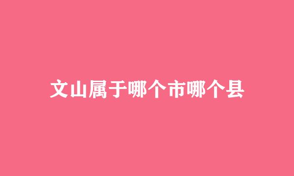 文山属于哪个市哪个县