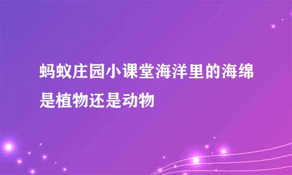 蚂蚁庄园小课堂海洋里的海绵是植物还是动物