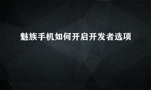 魅族手机如何开启开发者选项