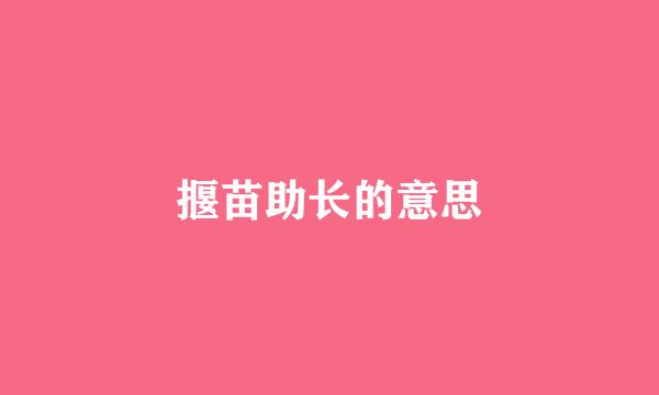 揠苗助长的意思