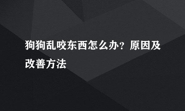 狗狗乱咬东西怎么办？原因及改善方法