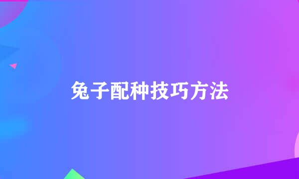兔子配种技巧方法