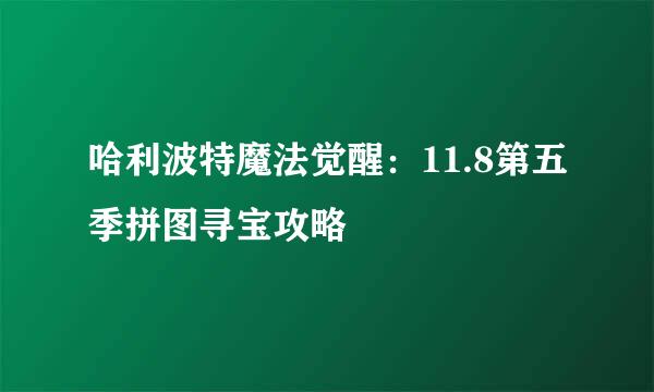 哈利波特魔法觉醒：11.8第五季拼图寻宝攻略