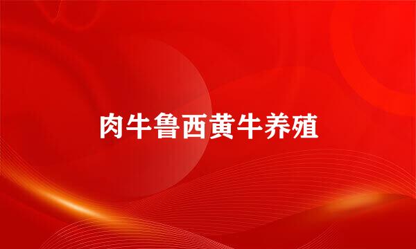 肉牛鲁西黄牛养殖