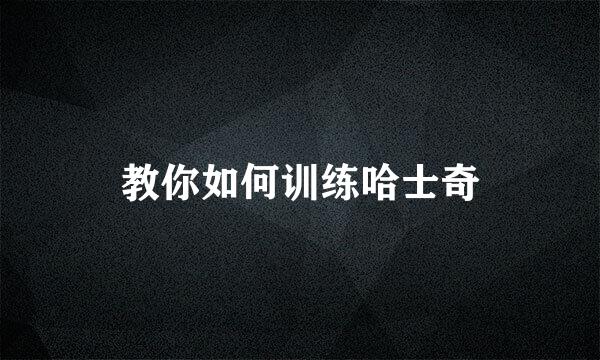 教你如何训练哈士奇