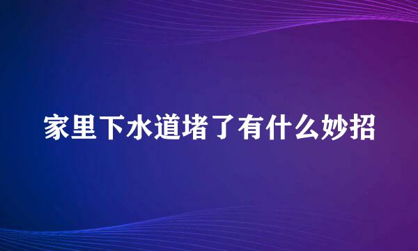 家里下水道堵了有什么妙招