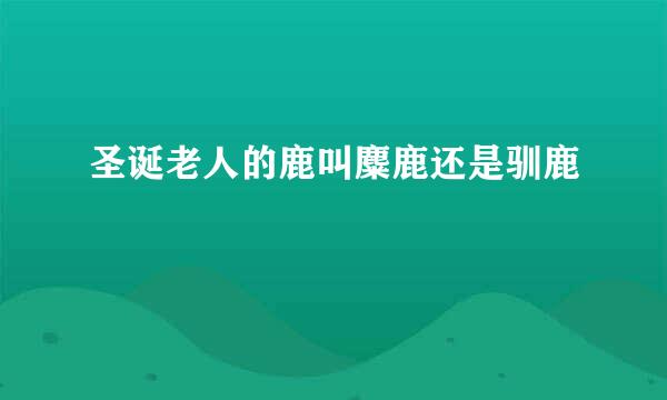 圣诞老人的鹿叫麋鹿还是驯鹿