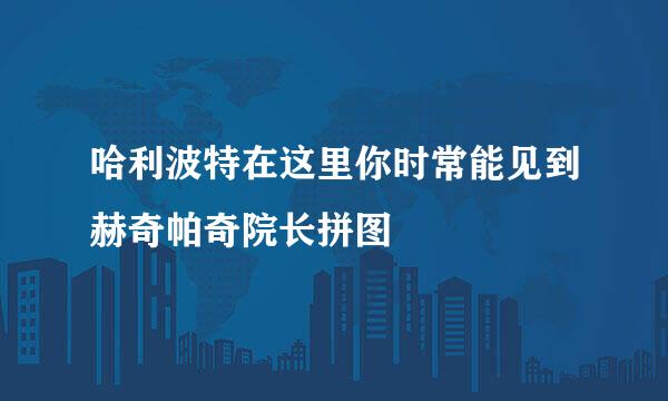 哈利波特在这里你时常能见到赫奇帕奇院长拼图
