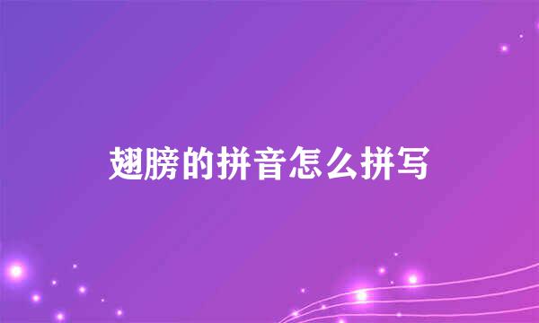 翅膀的拼音怎么拼写