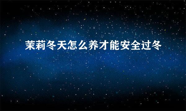 茉莉冬天怎么养才能安全过冬