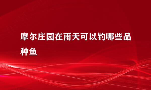 摩尔庄园在雨天可以钓哪些品种鱼