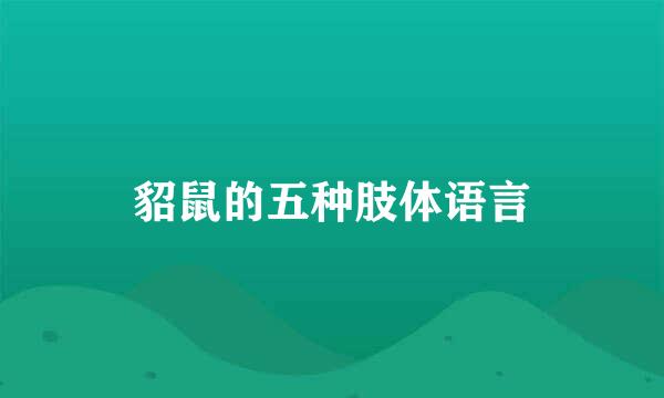 貂鼠的五种肢体语言