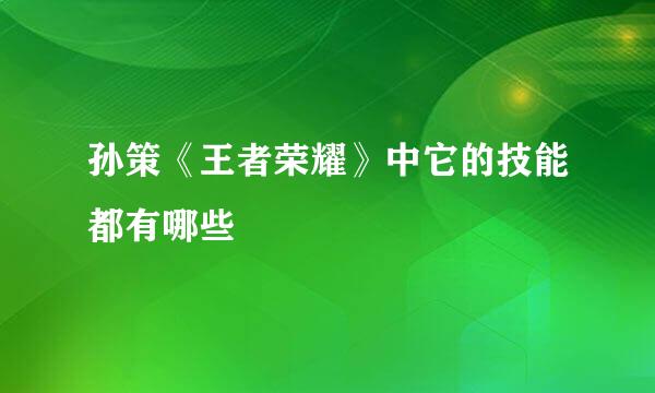 孙策《王者荣耀》中它的技能都有哪些