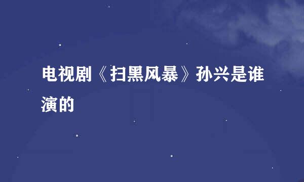 电视剧《扫黑风暴》孙兴是谁演的