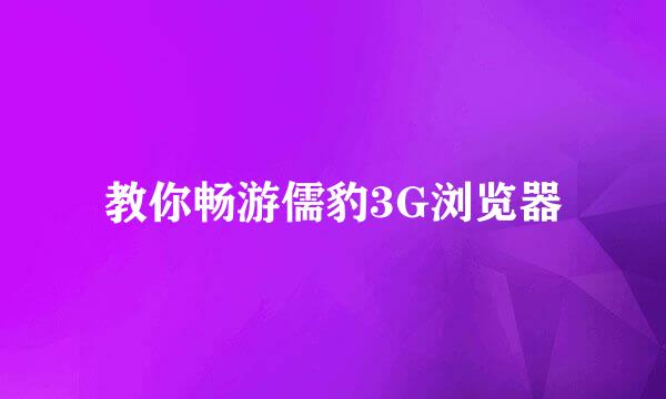 教你畅游儒豹3G浏览器