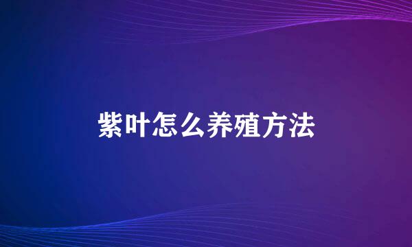 紫叶怎么养殖方法