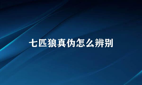 七匹狼真伪怎么辨别