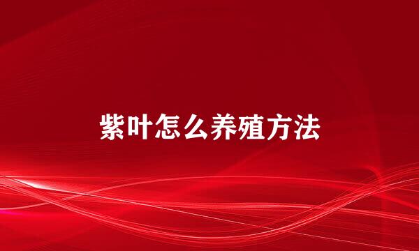 紫叶怎么养殖方法