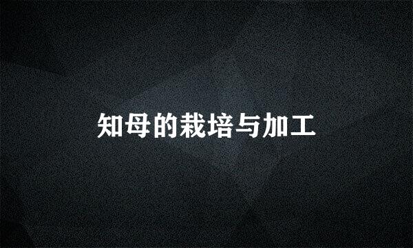 知母的栽培与加工