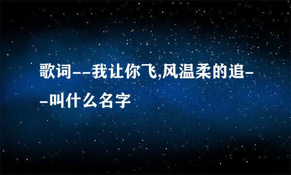 歌词--我让你飞,风温柔的追--叫什么名字