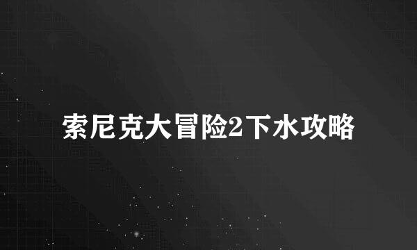 索尼克大冒险2下水攻略