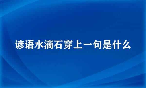 谚语水滴石穿上一句是什么