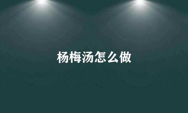 杨梅汤怎么做