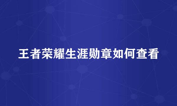 王者荣耀生涯勋章如何查看