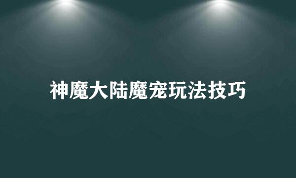 神魔大陆魔宠玩法技巧
