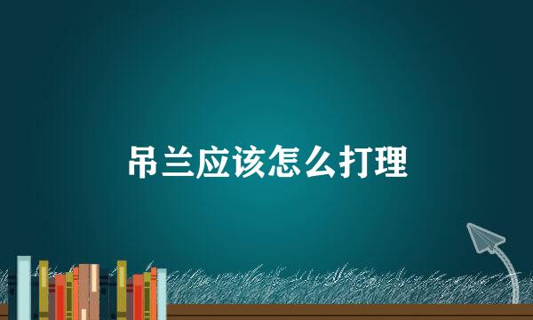 吊兰应该怎么打理