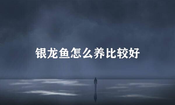 银龙鱼怎么养比较好