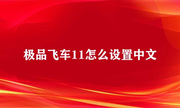 极品飞车11怎么设置中文